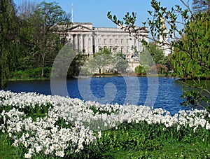 Buckingham palace