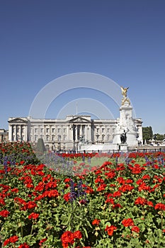 Buckingham Palace With Flowers In Foreground