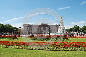 Buckingham Palace and gardens