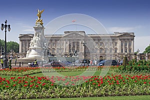 Buckingham Palace and gardens in a clear day