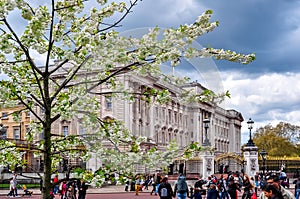 Buckingham palace in spring, London, UK