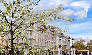 Buckingham palace in spring, London, UK