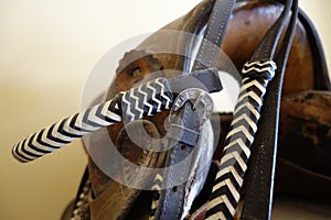 Buckle on a bridle.