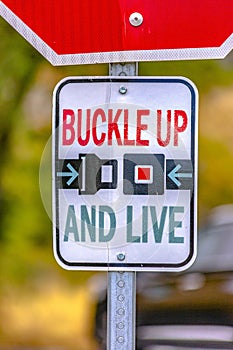 Buckle Up And Live road sign on a sunny street