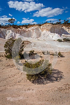 Buckleys Breakaway - A Painted Desert photo