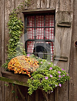 Bucks county Cottage window