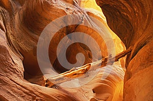 Buckskin Gulch Slot Canyon photo