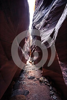 Buckskin Gulch Slot Canyon at Wire Pass Trail, Kanab, Utah