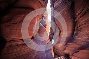 Buckskin Gulch Slot Canyon at Wire Pass Trail, Kanab, Utah