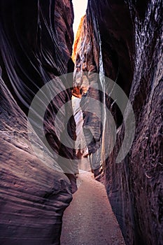 Buckskin Gulch Slot Canyon at Wire Pass Trail, Kanab, Utah