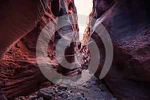 Buckskin Gulch Slot Canyon at Wire Pass Trail, Kanab, Utah