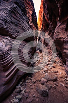 Buckskin Gulch Slot Canyon at Wire Pass Trail, Kanab, Utah