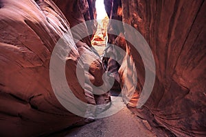 Buckskin Gulch Slot Canyon at Wire Pass Trail, Kanab, Utah