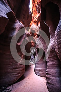 Buckskin Gulch Slot Canyon at Wire Pass Trail, Kanab, Utah