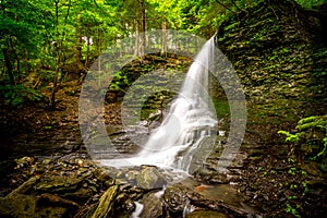 Bucktail Waterfall in Upstate New York photo