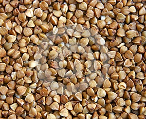 Buckwheat photo