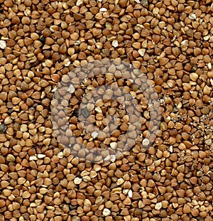 Buckwheat background