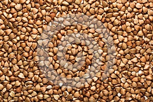 Buckwheat background. Texture of seeds. Horizontal layout