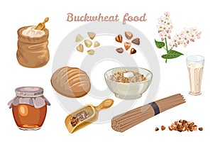 Buckwheat food set. Flowering plant, buckwheat grains, flour, porridge, honey, bread, vegan milk and noodles