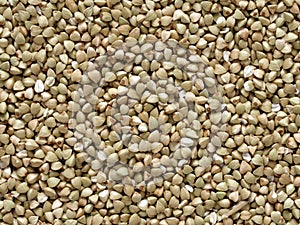 Buckwheat grains