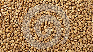 Buckwheat grains background, texture, top view. Dry grains of buckwheat, background, top view.