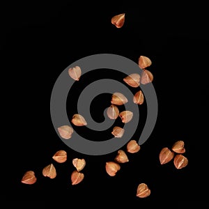 Buckwheat isolated on a black background. Close-up
