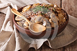 buckwheat porridge with fried mushrooms in a bowl close-up. horizontal