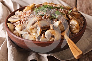Buckwheat porridge with mushrooms and onions in a bowl close-up. horizontal