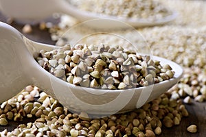 Buckwheat and quinoa seeds