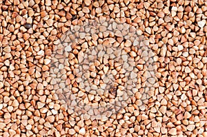 Buckwheat texture