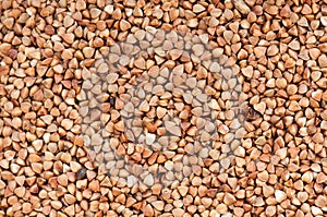 Buckwheat texture