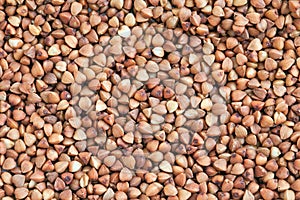 Buckwheat texture
