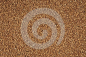 Buckwheat texture background closeup.