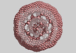 Bucky Ball molecular model