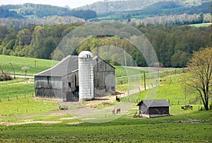 Bucolic landscape #3 photo