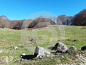 Bucolic landscape near Rome, Campaegli