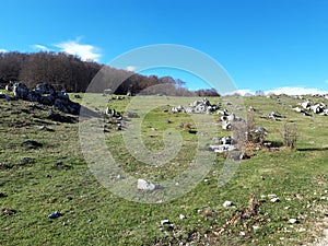 Bucolic landscape near Rome, Campaegli photo