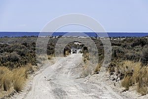 Bucolic panoramic landscape of the Valdes Peninsula in northern Patagonia near Puerto Madryn city center in the Chubut province in