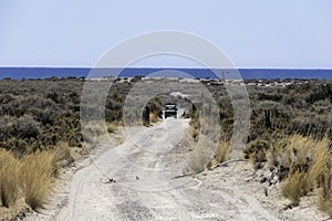 Bucolic panoramic landscape of the Valdes Peninsula in northern Patagonia near Puerto Madryn city center in the Chubut province in