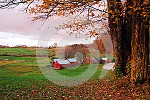 A bucolic rural scene in late autumn photo