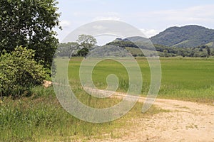 Bucolic View - Santa Catarina