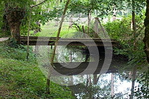 Bucolic wooden bridge and pollarded ash trees reflecting on marsh photo