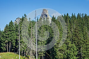 Bucovina mountains landscpae