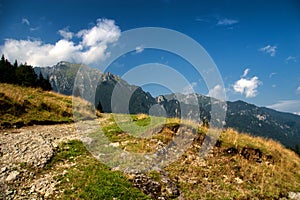 Bucsoiu mountain view from Valea Cerbului  photo