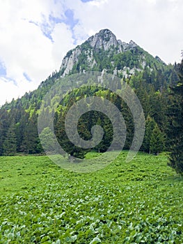 Bucsoiu mountain from Carpati mountains photo