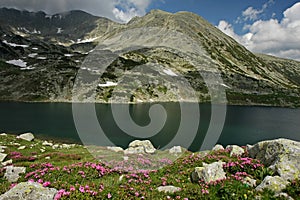 Bucura lake in june with snow patches and flowers
