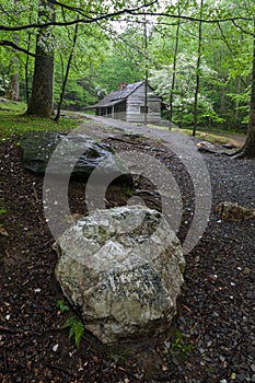 Bud Ogle Cabin, Great Smoky Mountains National Park