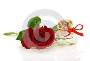 Bud of red rose and bottle with perfume