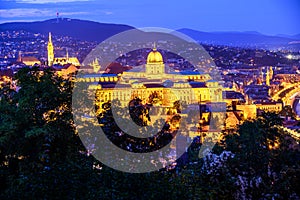 Buda Castle Budapest