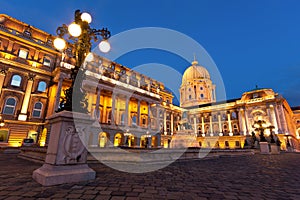 The Buda Castle in Budapest with a streetlight photo